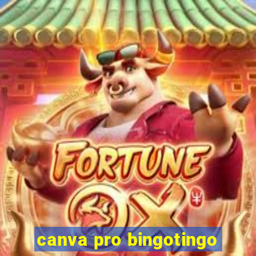 canva pro bingotingo